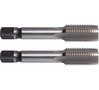 Метчик м/р SDW TOOLS М10х1,25 P6M5 к-т 2 шт. с прох. хв. ta00146