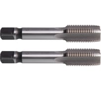 Метчик м/р SDW TOOLS М48х5,0 P6M5 к-т 2 шт. с прох. хв. ta00196