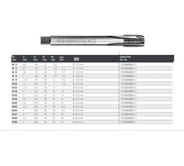 Метчик ALPEN Maykestag HSS-ECo machine tap M4 DIN 376, B, straight flt. 47160040010