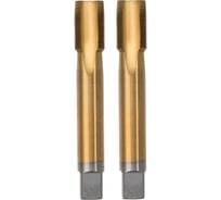 Метчики Профоснастка 209 комплект двухпроходной Эксперт М30*3,5 M2 TIN (6542) Пластиковый бокс 1/10 50311072