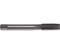 Метчик ТОЧИНТЕХ м/р М20x2,5 Р6М5/М2 ГОСТ 3266-81 BLACK OXIDE, с прямой канавкой, с подточкой tn40158