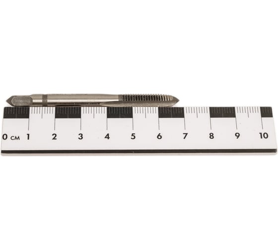 Метчик БИЗ м/р М 6*1,0 met6