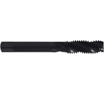 Метчик ZUMO м/р 30,0x2,0 кл.2 HSS-V Black винт. гл. ISO529 V301010304300200 00-00046006
