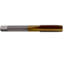 Метчик ZUMO м/р 6,0x1,0 кл.2 HSS-V TiN скв. ISO529 V301010102060000 00-00045715