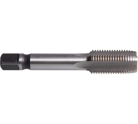 Метчик SDW TOOLS м/р М22х2,0 Р6М5 для глух. с прох. хв. ta00331