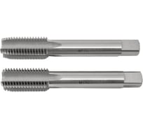 Метчик М17x2 машинно-ручной HSS 2шт компл. исп1 ГОСТ 3266-81 Beltools ri.114.1760