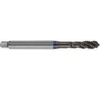 Метчик машинный ToolPro винт. канавка M10x1,5 HSS-E DIN371 Form C 6H Blue Ring 12 097 035