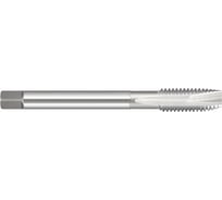 Метчик Totem HSS-E 18x2.5 SA1 DIN376 FAB0204201