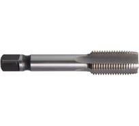 Метчик SDW TOOLS м/р М20х2,5 Р6М5 Lh для скв. с прох. хв. ta00210