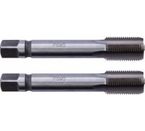 Трубный метчик WOLFSTAR м/р G1/8" к-т 2шт. P6M5/M2 ГОСТ 3288-81 ta00457