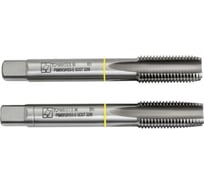 Метчик ТОЧИНТЕХ м/р М22х2,5 Р6М5К5(М35), ГОСТ 3266-81, к-т 2 шт. с прох. хв. мт00499