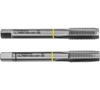 Метчик ТОЧИНТЕХ м/р М10х1,25 Р6М5К5(М35) ГОСТ 3266-81 к-т 2 шт. с прох. хв. мт00485