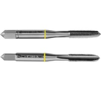 Метчик ТОЧИНТЕХ м/р  М6,0х1,0 Р6М5К5(М35) ГОСТ 3266-81 к-т 2 шт. с прох. хв. мт00483