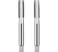 Метчик ИНСТУЛС м/р М. 24.0х2.0 к-т Р18 6H 2621-1815/1813 исп.1 ГОСТ 3266-81 00001943016