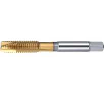 Метчик Deskar м/р 6,0х1,0 скв 6H DIN371 HSS-E TiN DT12006100 00-00073563