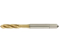 Метчик машинный винт. канавка ToolPro M1,6x0,35 HSS-E TiN Form С DIN371 12 149 016