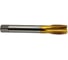 Машинно-ручной метчик для сквозных отверстий TORNERI М30x3.5 HSSE 6H DIN376 TiN 043922 3