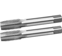 Комплект ручных метчиков ЗУБР МАСТЕР М18 x 2,5 4-28006-18-2.5-H2