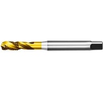 Метчик АКСИС Te52m5tn 00001589152