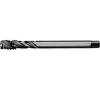 Метчик АКСИС Te53m12v 00001589694