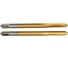 Метчик M22x2 HSS M2 TiN прямой компл. ПрофОснастка №189 арт. 50311059 1