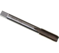 Метчик М 9x1,25 м/р комплект 2 шт. Р6М5 HORTZ 203870