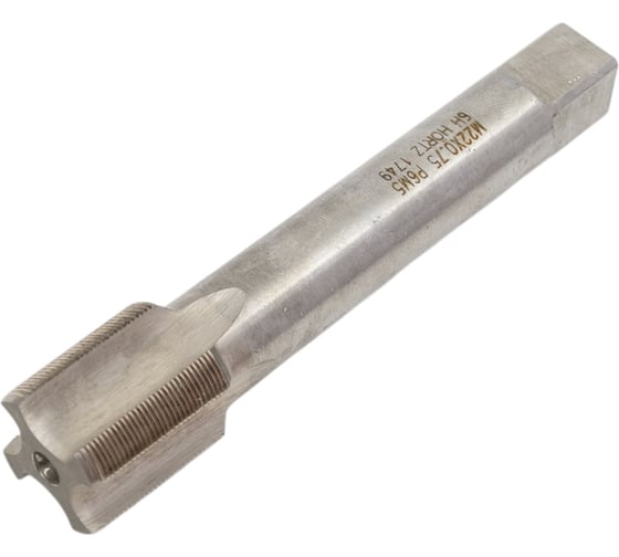 Метчик М22x0,75 м/р комплект 2 шт. Р6М5 HORTZ 450254 1
