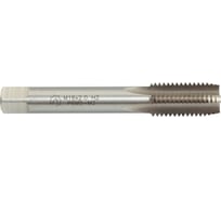 Метчик WOLFSTAR м/р м16x2,0 для скв. с прох. хв. р6м5/m2 гост 3266-81 ta00531