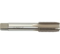 Метчик WOLFSTAR м/р м24x3,0 для скв. с прох. хв. р6м5/m2 гост 3266-81 ta00536