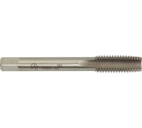 Метчик WOLFSTAR м/р м8,0x1,0 для скв. с прох. хв. р6м5/m2 гост 3266-81 ta00523