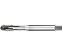 Метчик АКСИС TE42MF12x1.25 00001589938