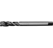 Метчик АКСИС TE53MF24x1.5V 00001590213