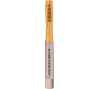 Метчик H-Tools машинный М8 шаг 1.25 DIN371 HSSE-TiN 113X01-C2-0080