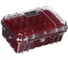 Защитный кейс Pelican 1050 красный, с прозрачной крышкой 1050-028-100E 5