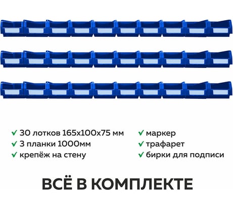 Органайзер ООО ММПО LT1000-3X10 синий 4673738646442