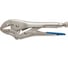 Зажимные клещи HOEGERT TECHNIK прямые губки, 250 мм HT1P382 1