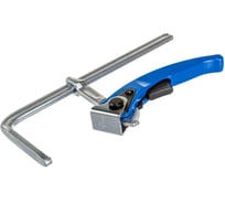 Струбцина для крепления в пазу EHOMA 160х60 F, 11,9х7,5, рычажная рукоятка G16KL