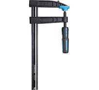 Струбцина Smartbuy Tools F-образная винтовая 120x300, металлическая, пластиковая прорез. рукоятка SBT-GFC-300P2