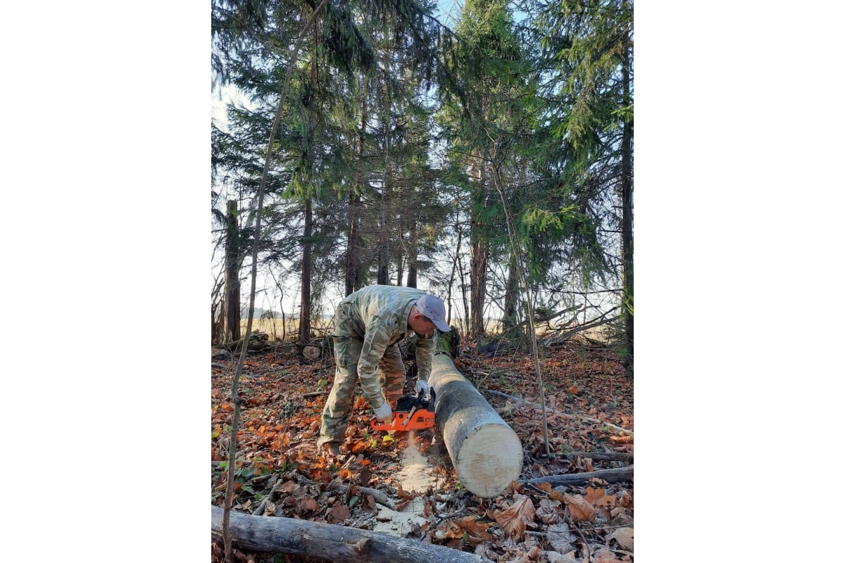 Бензиновая пила CARVER PROMO PSG-45-15 01.004.00023 - выгодная цена ...