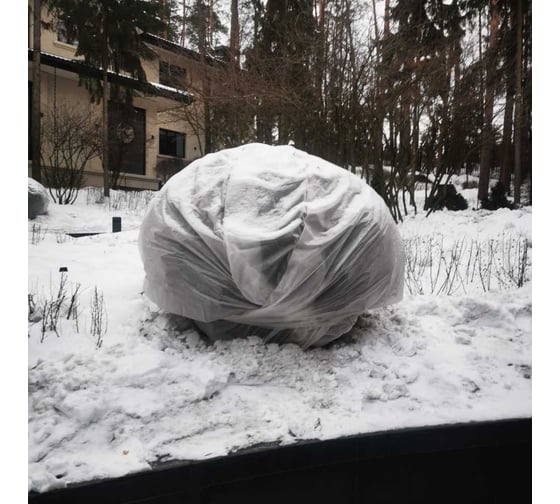 Зимнее укрытие для цветущих кустарников Агротекс спанбонд 100 1,6*10 м 32.01.74.01.01.100.1600.0010.00