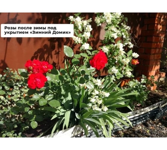 Укрытие для роз Зимний домик 75 см набор 10 шт 10шт-1002*10