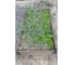 Готовый комплект грядки Еврогрядка из дпк 1200x800x155, цвет графит GEG3-155-Graphite 18