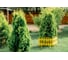 Декоративный забор GARDENPLAST RENESSANS №2 7 секций, 3.1 м, желтый 4814132000342 50211 3