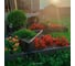 Комплект из 4-х 3D-досок ДПК Еврогрядка 1500x30x225 для грядок и клумб, цвет Венге EGD15-225-3D 9