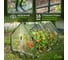 Теплица GREEN APPLE GA-House-medium со светильником в комплекте 1800x900x900 мм 2 отсека Б0063840 6