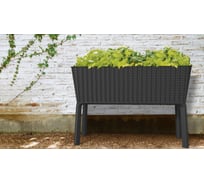 Готовая грядка на ножках Keter Сплендор графит 255152