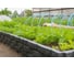 Универсальный садовый конструктор GARDENPLAST 180х20 см, графит 00104 12
