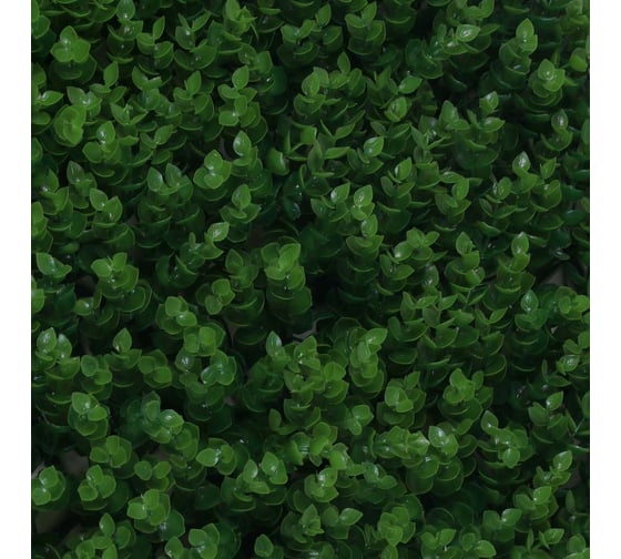 Искусственная изгородь INBLOOM 60x40 см Самшит высокий, полипропилен 172-031