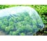 Сборный парник GREEN APPLE GAPS01-105 1.5х5м Б0018374 2