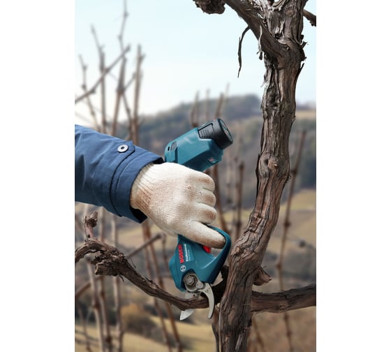 Аккумуляторный секатор Bosch 12 В 06019K1020 - выгодная цена, отзывы ...